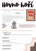 Hovno hoří - Petr Šabach