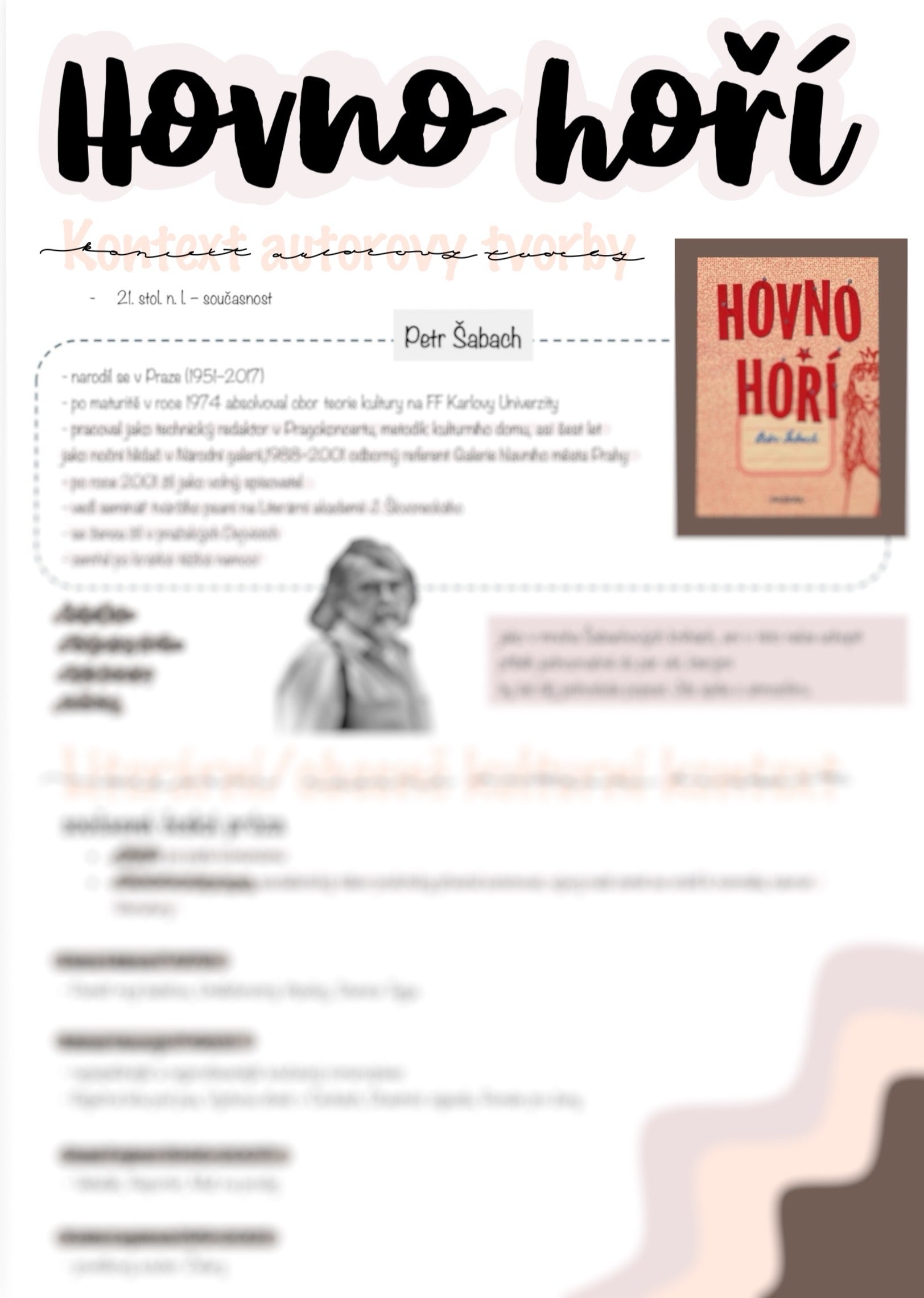Hovno hoří - Petr Šabach