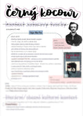 Černý kocour - Edgar Allan Poe